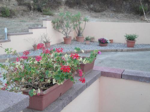 La Jatta — Budoni — photo 5