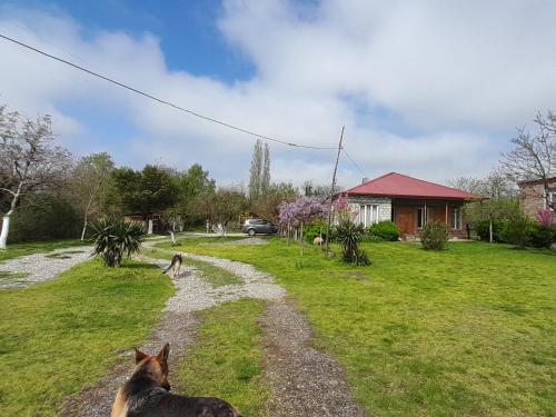 Tiny houses Genacvale