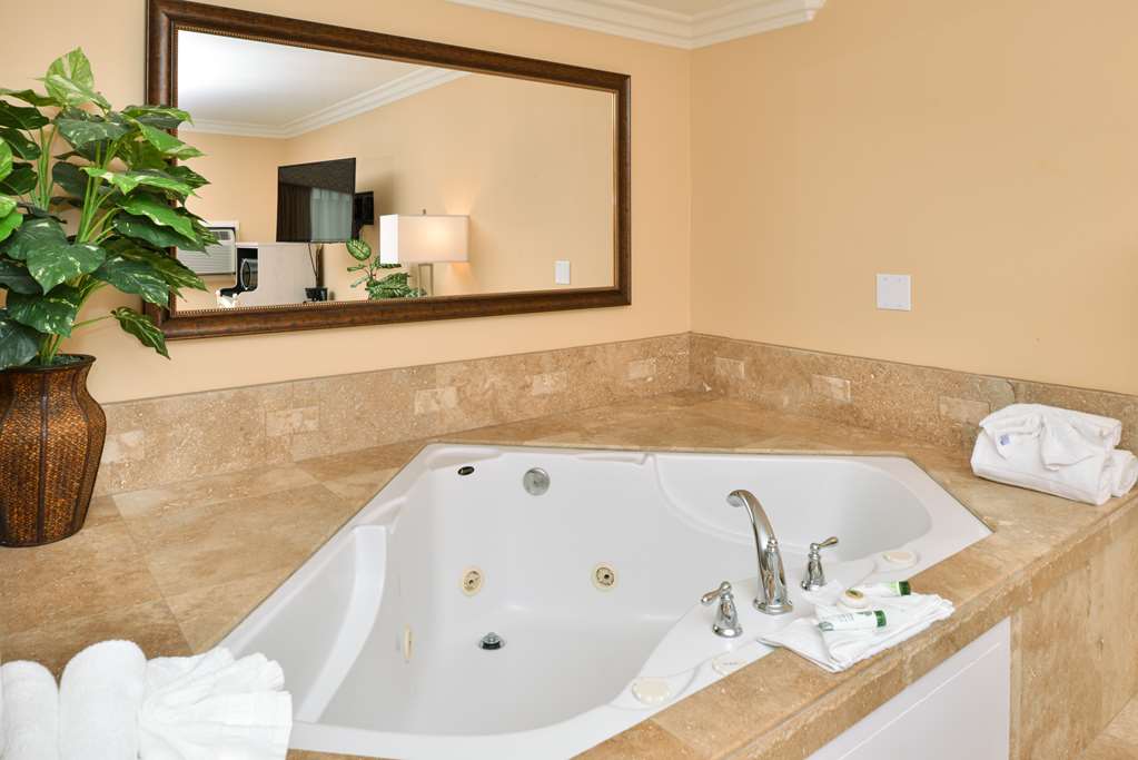 Dana Point Marina Inn - photo 30