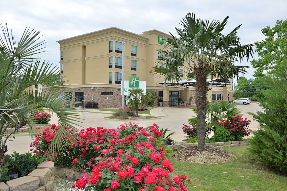 Holiday Inn Montgomery Airport South By Ihg — Montgomery