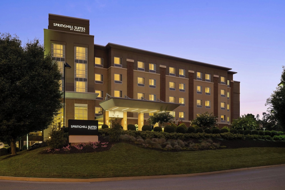 SpringHill Suites by Marriott Roanoke - photo 38