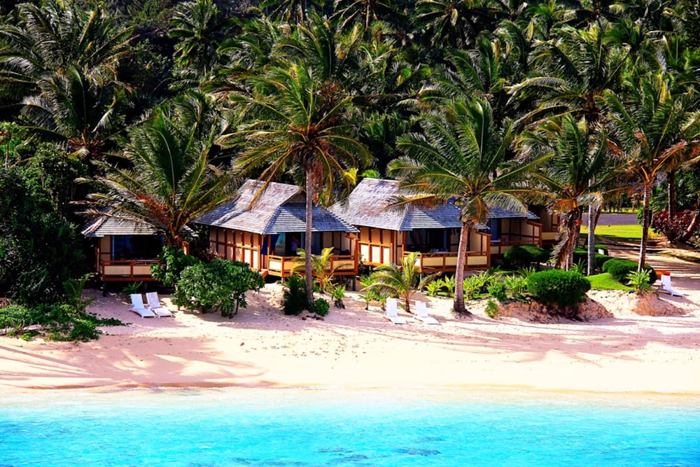 Palm Grove — Avarua