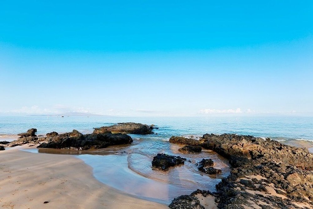 Kamaole Sands #1 406 - photo 19