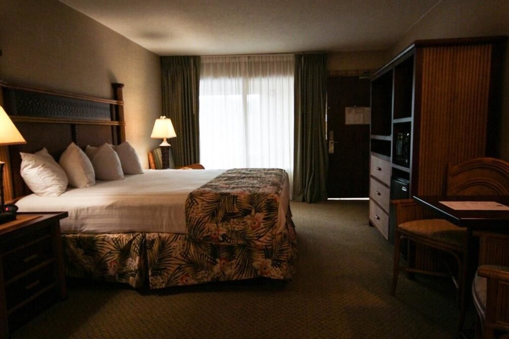 Maui Sands Resort & Indoor Waterpark - photo 22