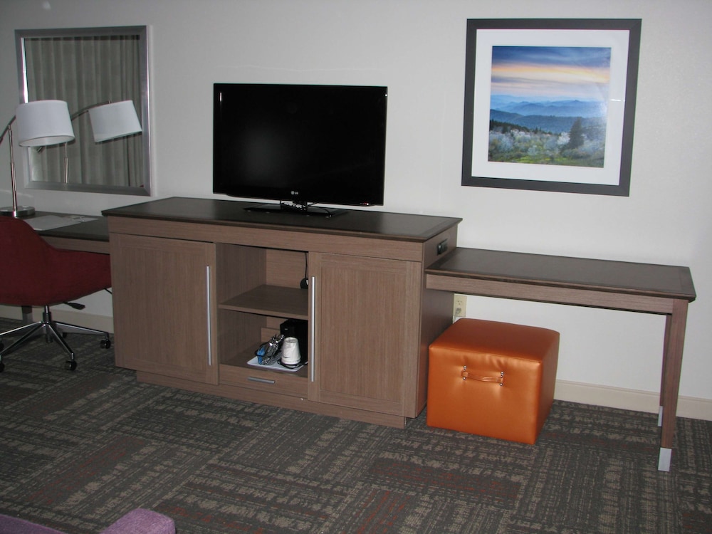 Hampton Inn Sevierville - photo 7