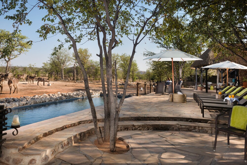 Ongava Tented Camp All Inclusive in Windhoek, Namibia