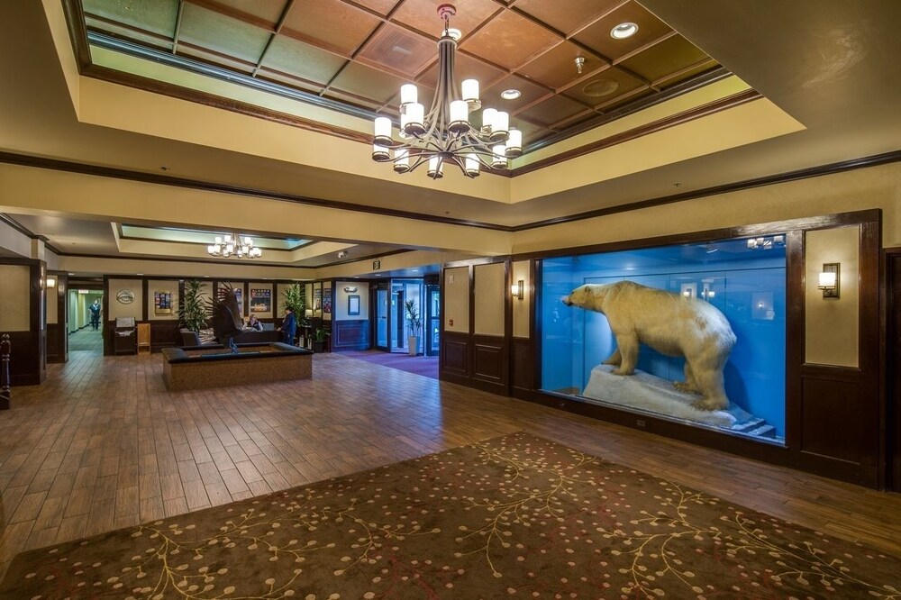 The Lakefront Anchorage - photo 3