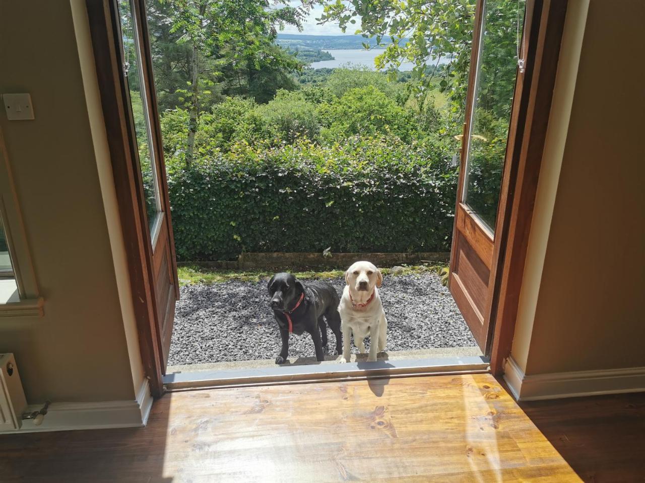 Blue Stack View in Unknown City, Republic of Ireland