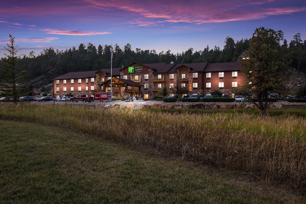 Holiday Inn Express & Suites Custer Mt Rushmore - photo 45