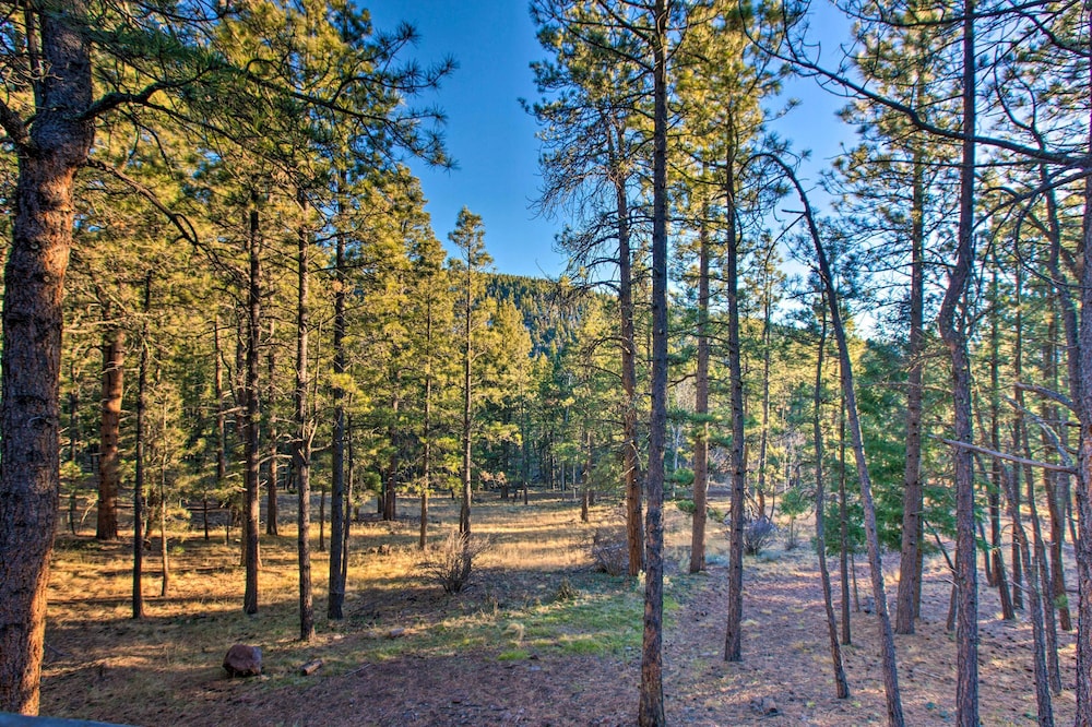 Family Cabin with Hot Tub 1 Mi to Angel Fire Resort - photo 17