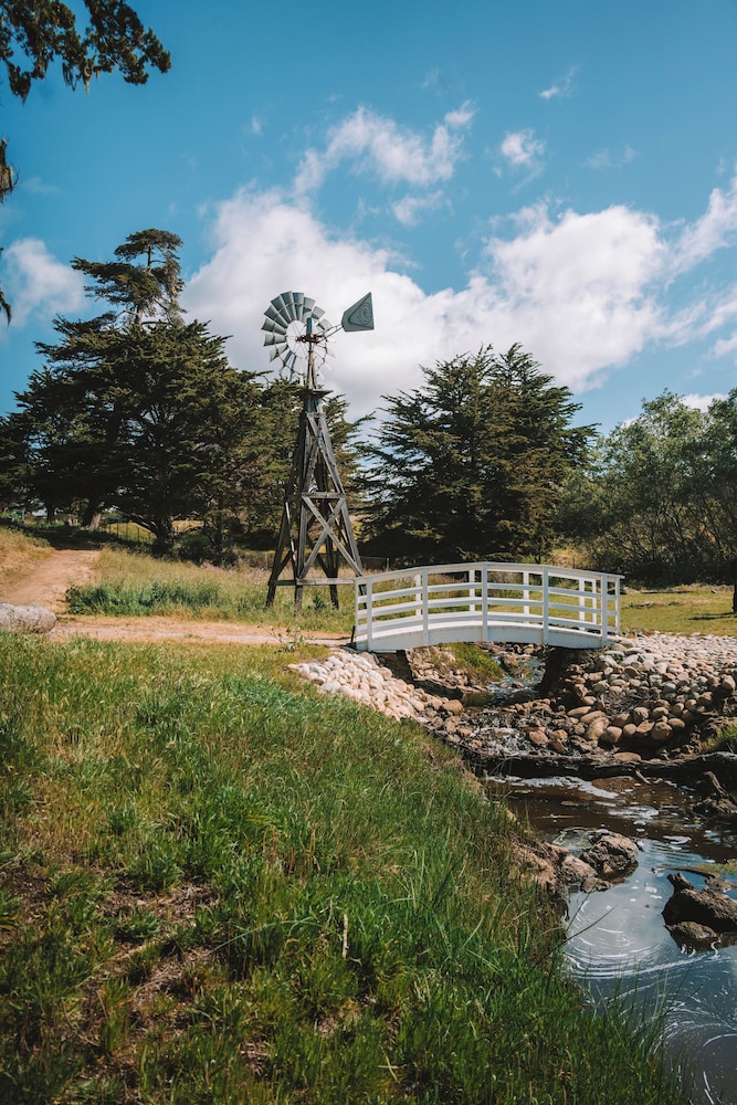 Oceanpoint Ranch - photo 48