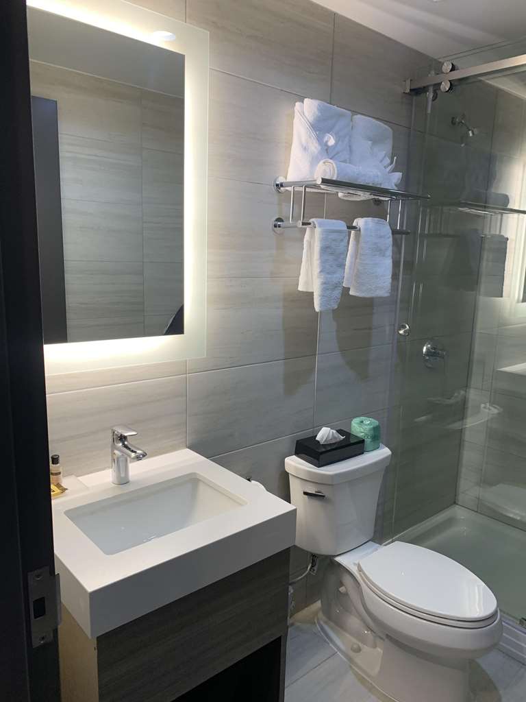 Best Western Plus Brooklyn Prospect Park - photo 13