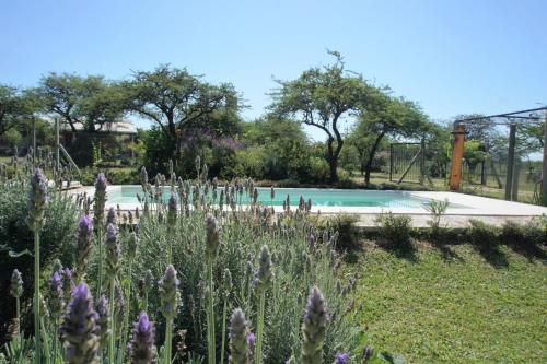 AGUAPÉ Alojamiento rural con PILETA hasta 6 huéspedes in Chajari, Argentina