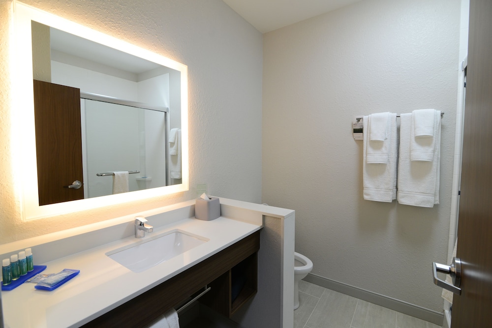 Holiday Inn Express & Suites Chicago North Shore Niles by IHG - photo 20