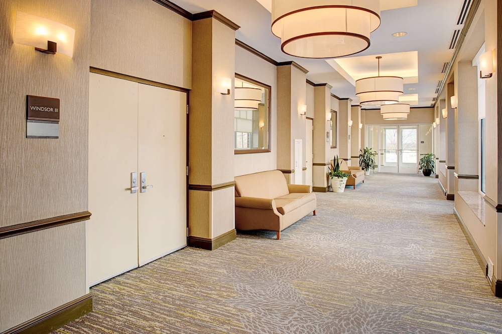 Hilton Garden Inn Hartford North Bradley International Airport - photo 34
