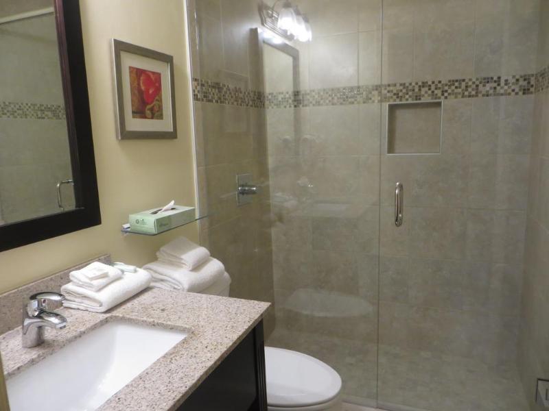 Ashley Quarters Hotel Cincinnati Airport - photo 14