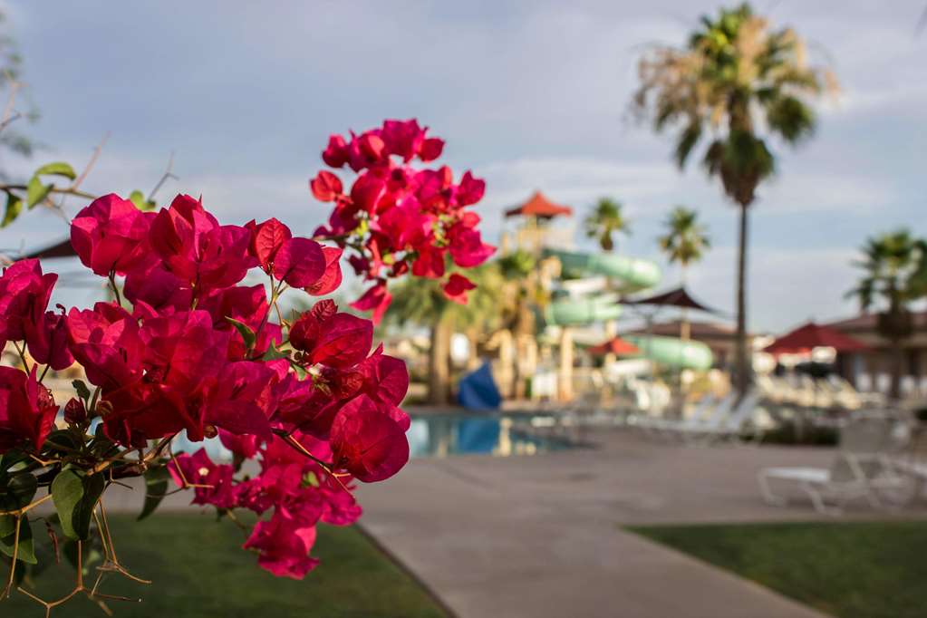 Bluegreen Vacations Cibola Vista Resort and Spa an Ascend Collection Resort - photo 64
