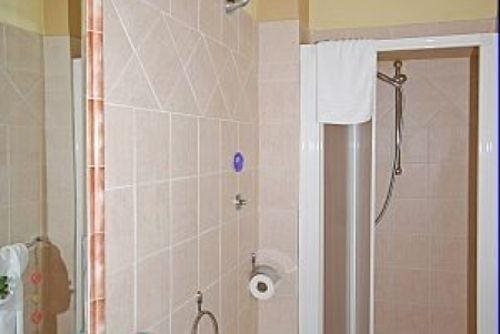 Cipresso in San Gimignano, Italy