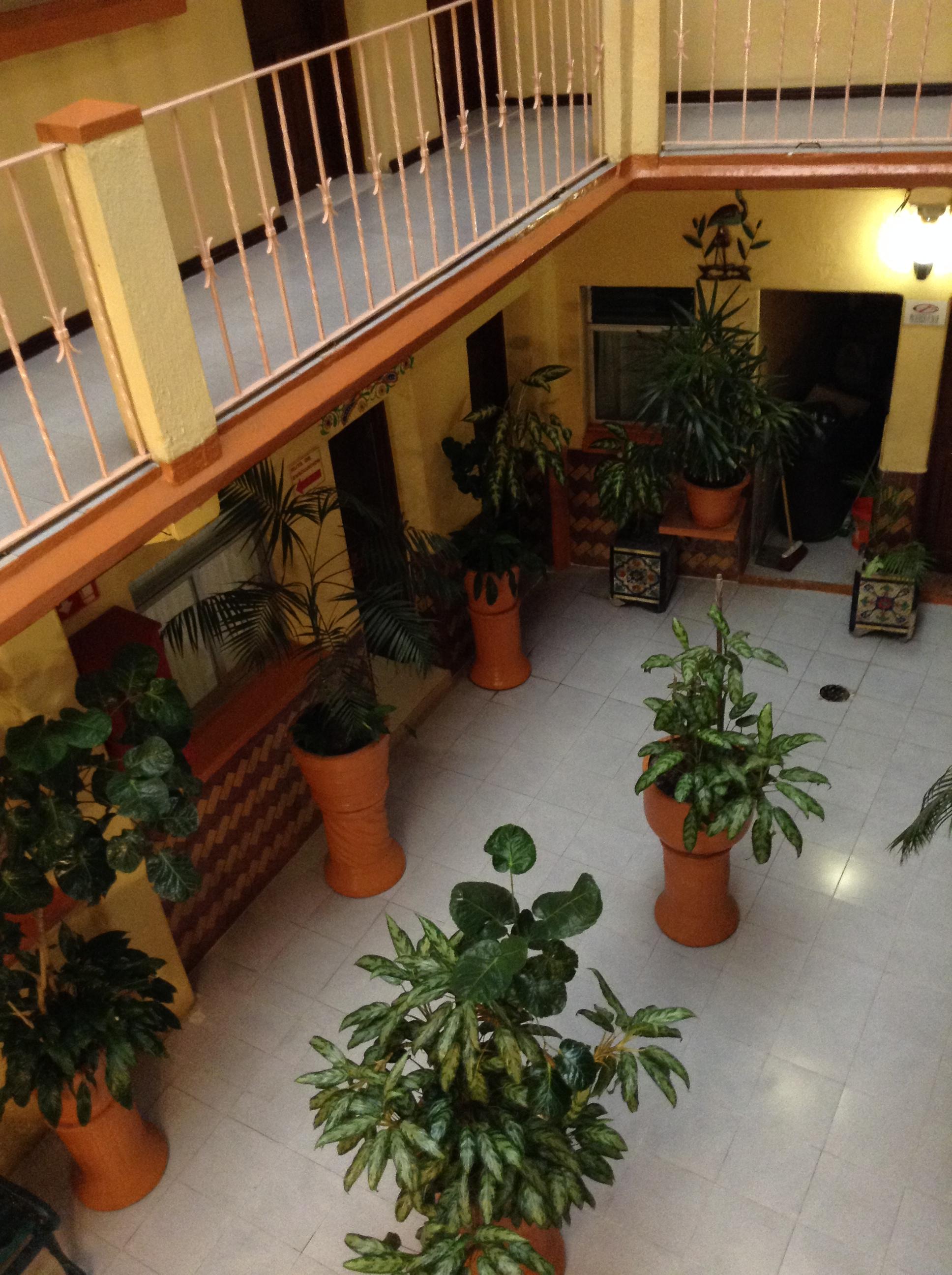 Hotel America — Cuernavaca — photo 5