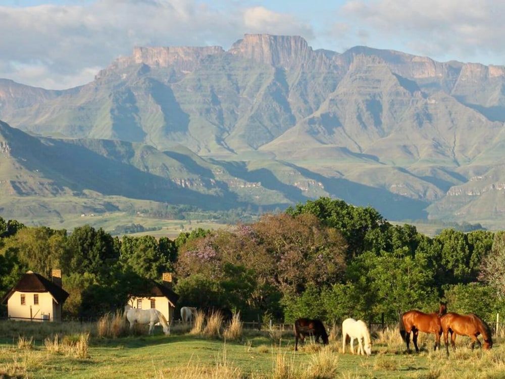 Ardmore Guest Farm in Bergville, South Africa