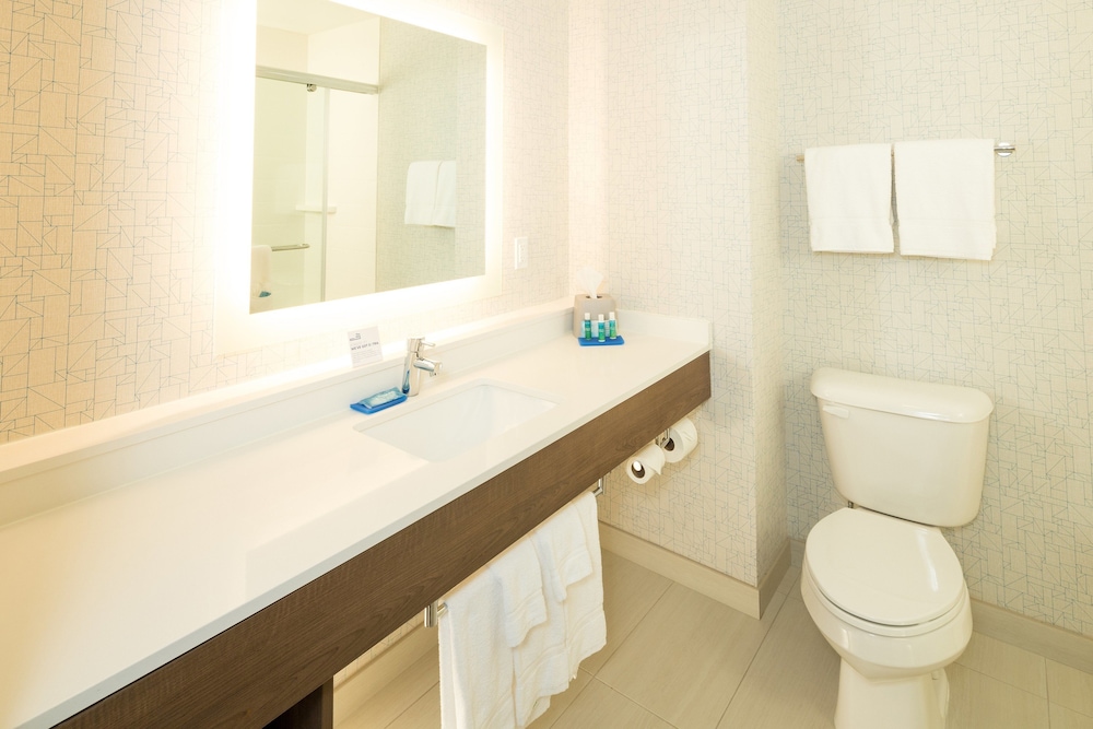 Holiday Inn Express & Suites Auburn - photo 14