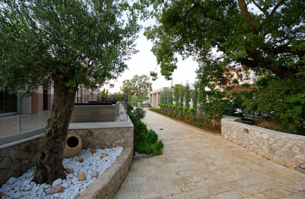 שטחי חוץ / גן