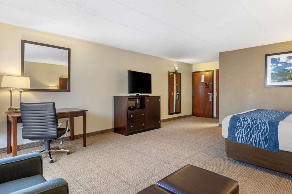 Comfort Inn Grand Rapids Airport - photo 28