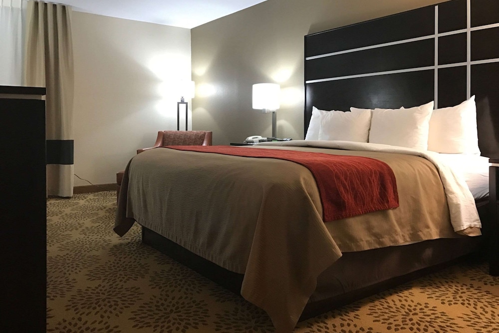 Comfort Inn North of Asheville - photo 22