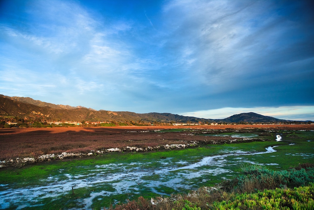 Holiday Inn Express & Suites Carpinteria by IHG - photo 49