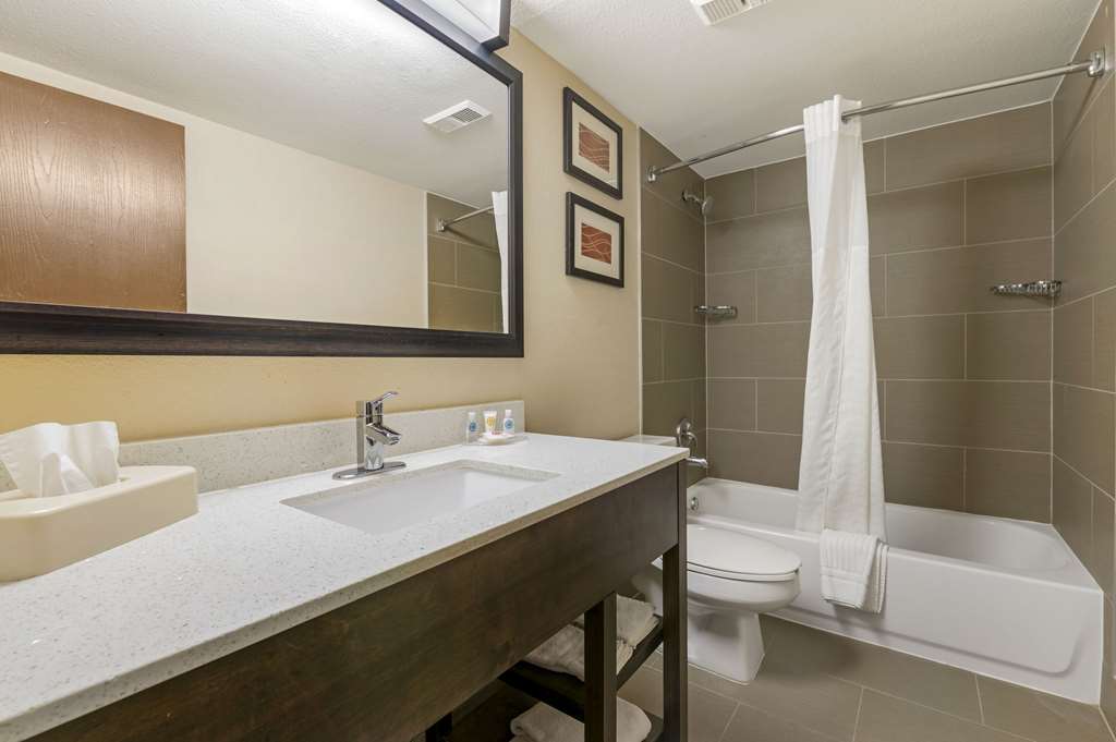 Comfort Inn & Suites Indianapolis Northwest College Park - photo 27