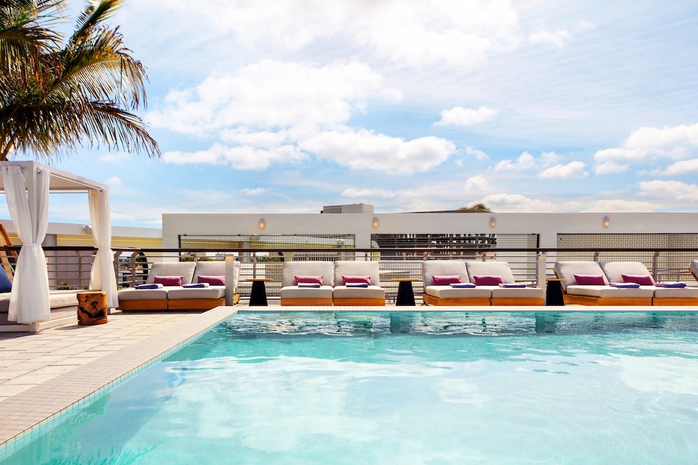 Kimpton Hotel Palomar South Beach by IHG - photo 30