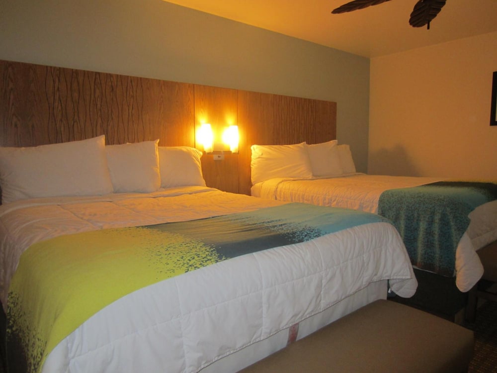 PB Surf Beachside Inn - photo 11