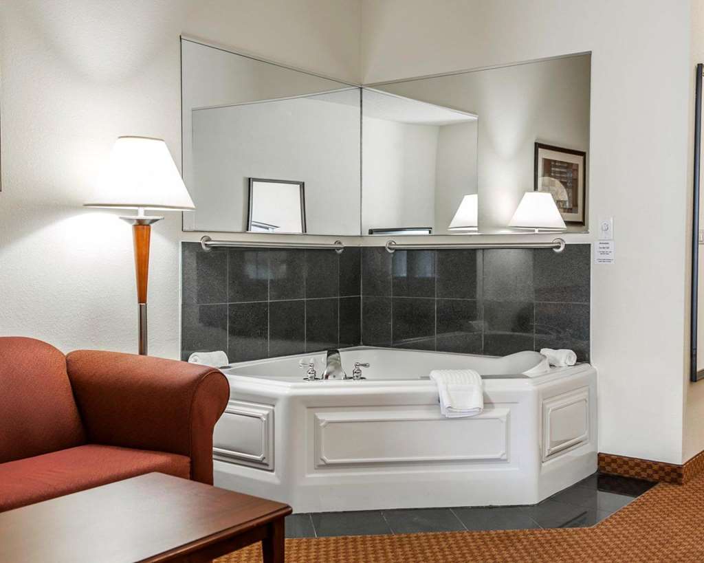 Comfort Suites near Indianapolis Airport - photo 12