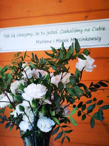 Pensjonat Alpejski Dwór in Bystrzyca Klodzka, Poland