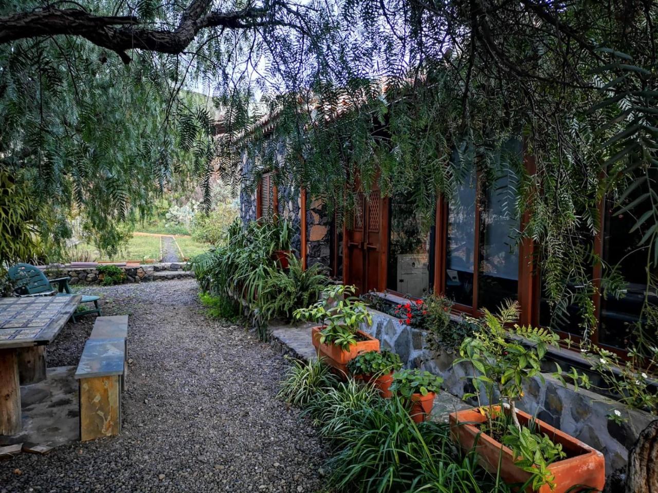 Finca Alda — Los Llanos De Aridane — photo 3