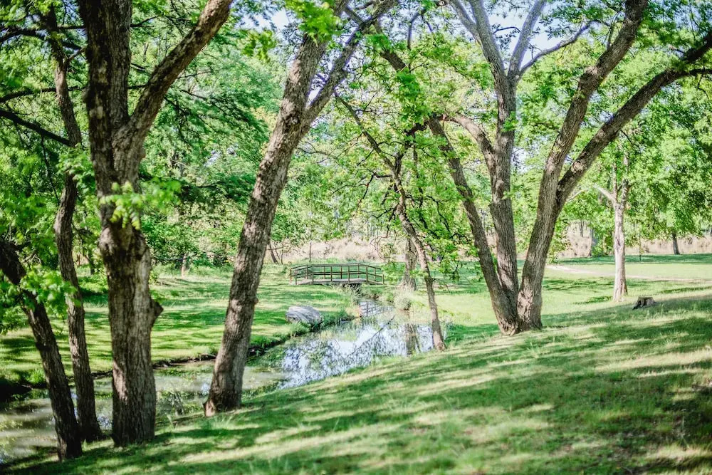 Jellystone Park Guadalupe River - photo 15