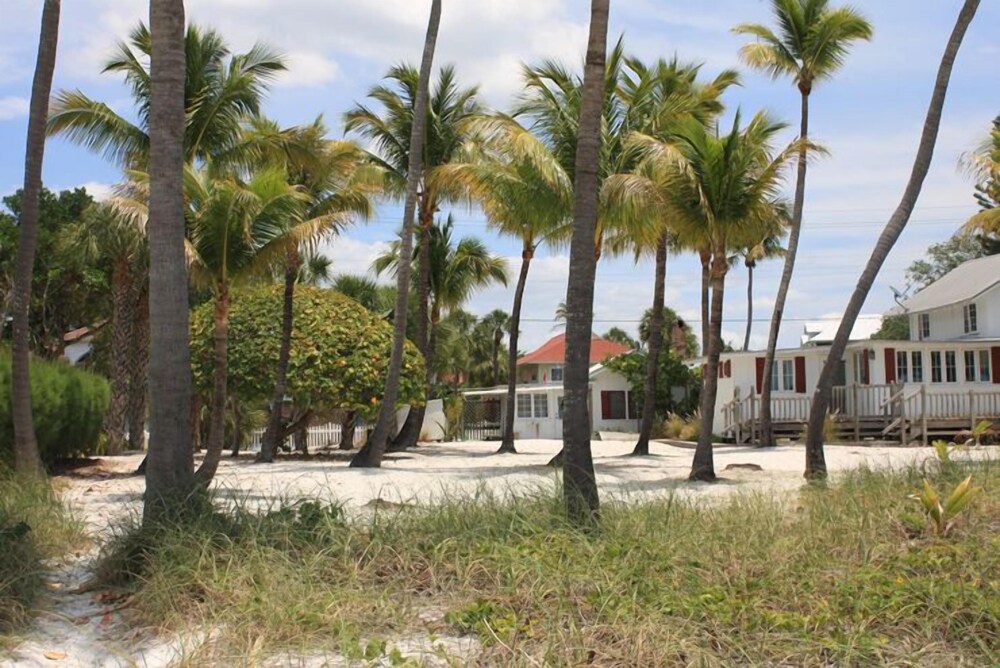 Palm Terrace - photo 51