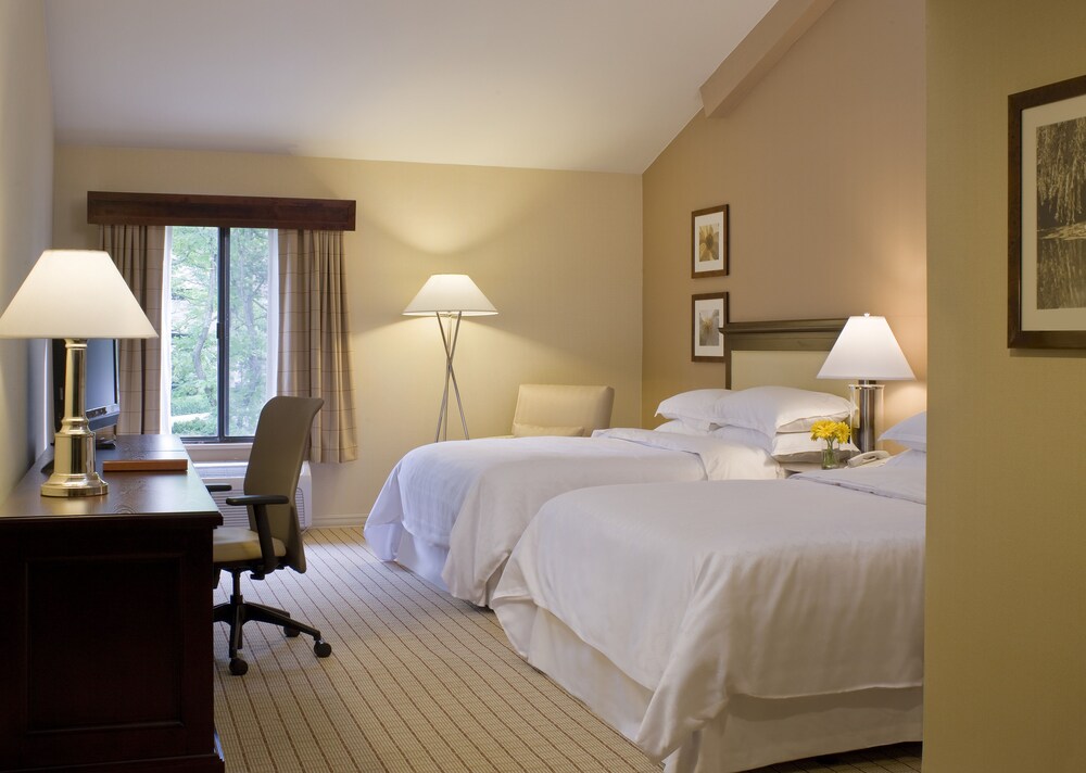 Sheraton Columbia Town Center Hotel - photo 4