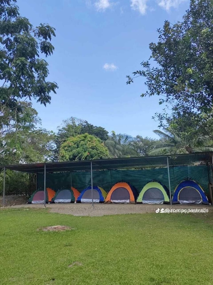 Zompopas Trail in Puerto Jimenez, Costa Rica