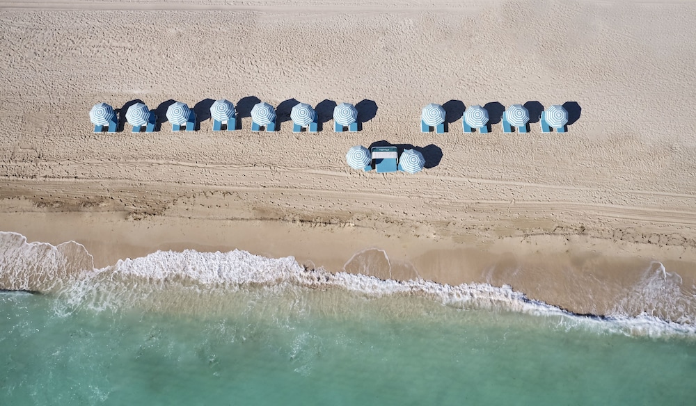 Carillon Miami Wellness Resort - photo 62