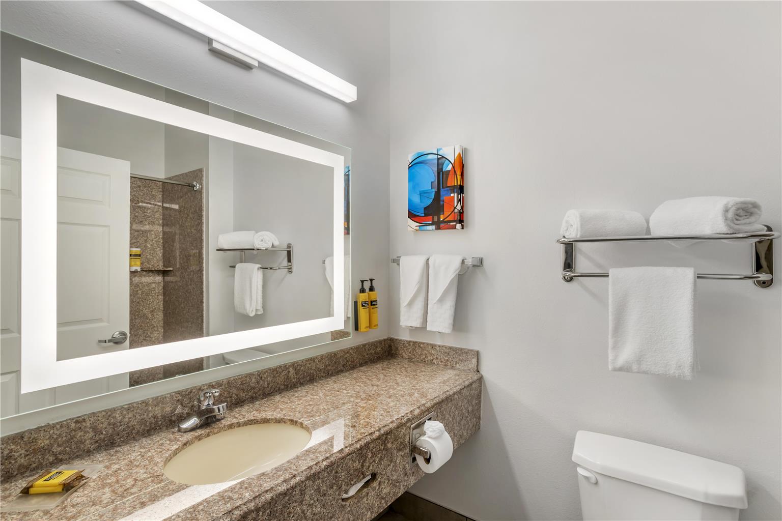 Best Western Plus New Caney Inn & Suites - photo 39
