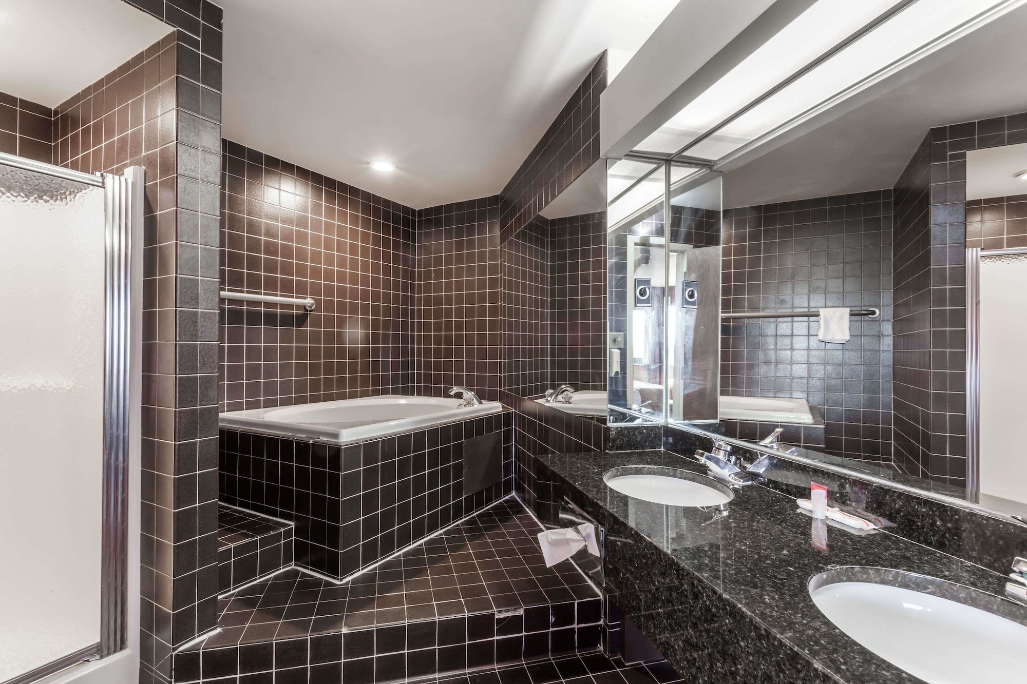 APM Inn and Suites - photo 27