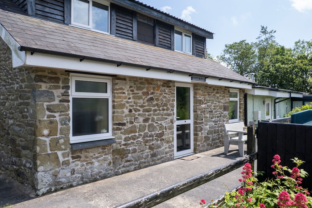 Cornflower at Gorslwyd Sound Retreat in Cardigan, United Kingdom