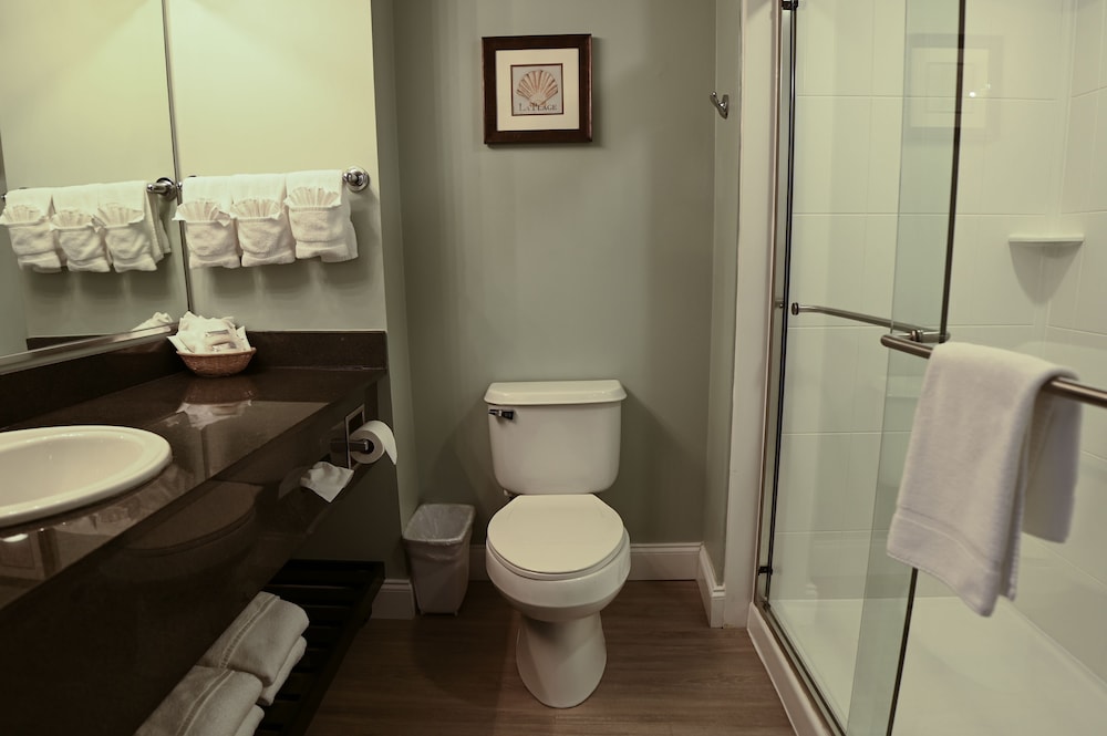 Park Place Hotel - photo 20