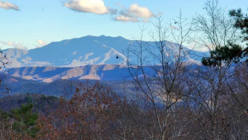 Lazy Bear Cabin — 4-Star Luxury Hotel in Sevierville, United States