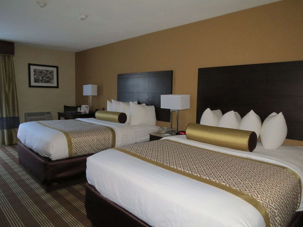 Cape Cod Hotel - photo 9