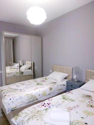 Luxury 2 BR Apartment in Isani