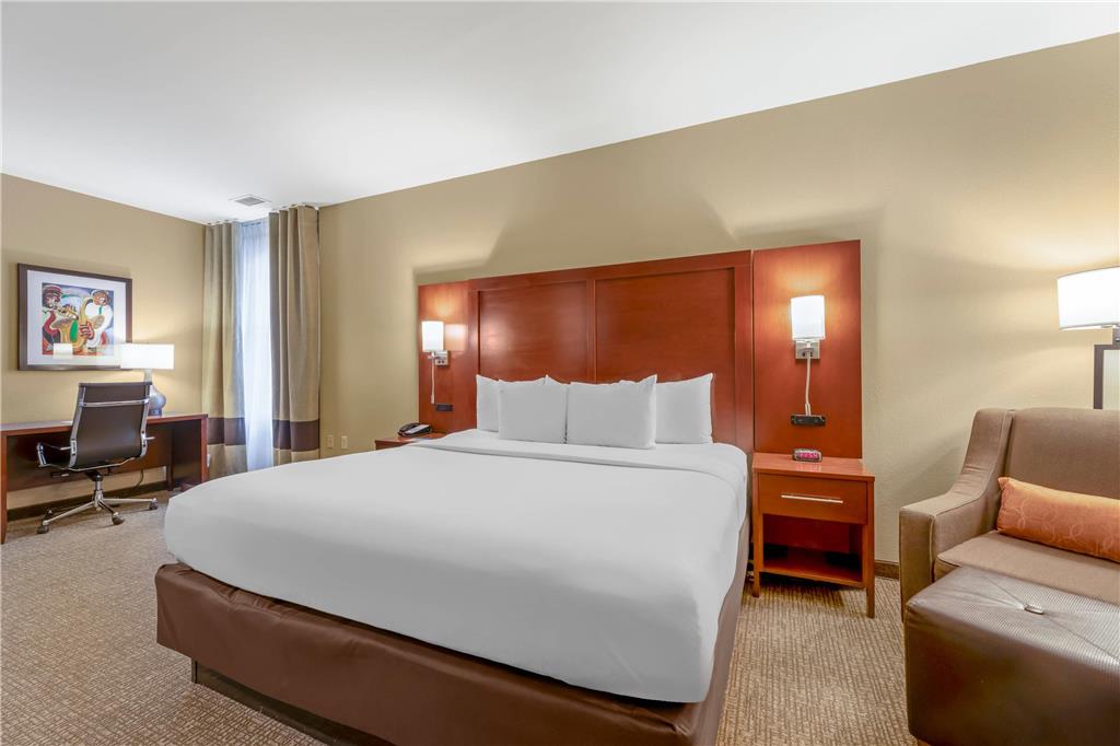 Comfort Inn Memphis Downtown - photo 32