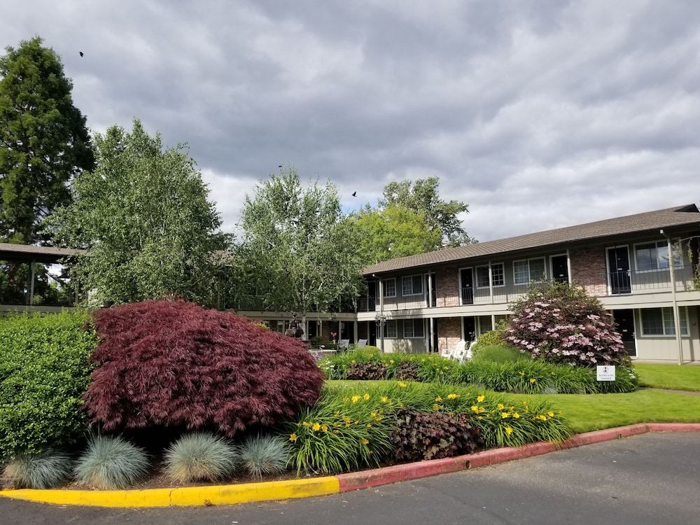 Village Inn Springfield - featured photo