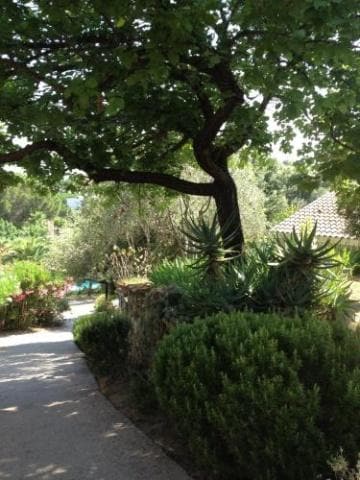 Les Trois Lys in Condom, France